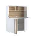 SECRETAIRE 2 PORTES 1 ABATANT N°69-22SA1830-INSTA