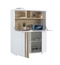 SECRETAIRE 2 PORTES 1 ABATANT N°69-22SA1830-INSTA