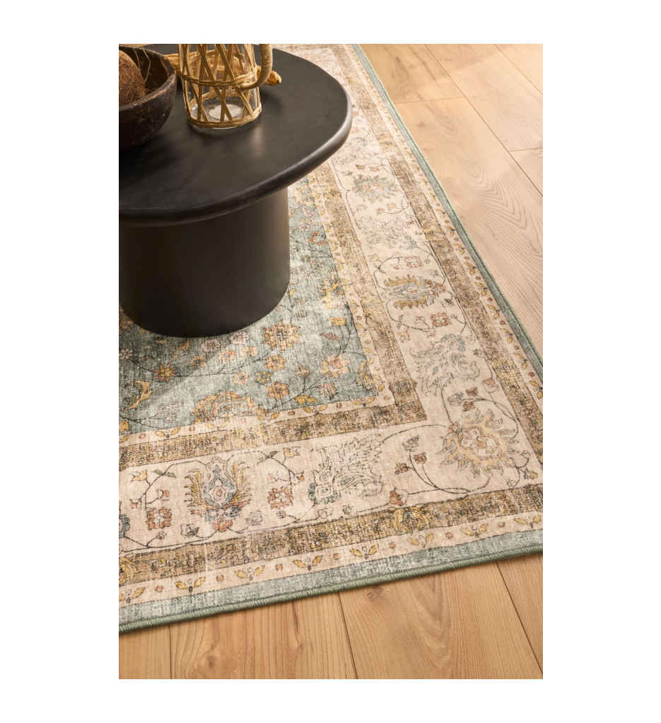 Tapis OTTOMAN Turquoise 160X230 OTT841TUR