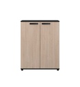 RANGEMENT 2 PORTES CELEST 0982BA2P