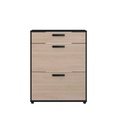MEUBLE A CHAUSSURES 2 PORTES 1 TIROIR CELEST 0982MCH2