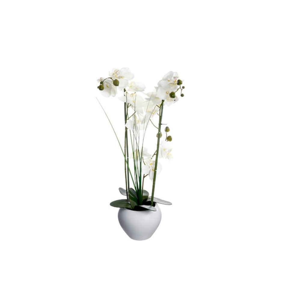 Orchidée Alini haut 53 cm avec vase céramique blanc 136510B