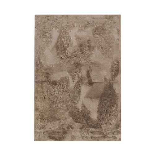 Tapis New rabbit Beige120X160