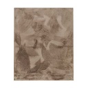 Tapis New rabbit Beige 160X230