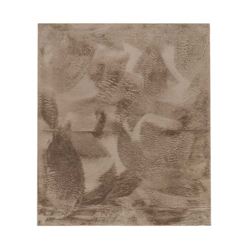 Tapis New rabbit Beige 200X290