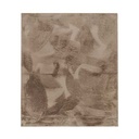 Tapis New rabbit Beige 200X290