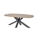 #TABLE OVALE FIXE 210CM/PIEDS METAL ETOILLE-CASTLE OAK-URIEL