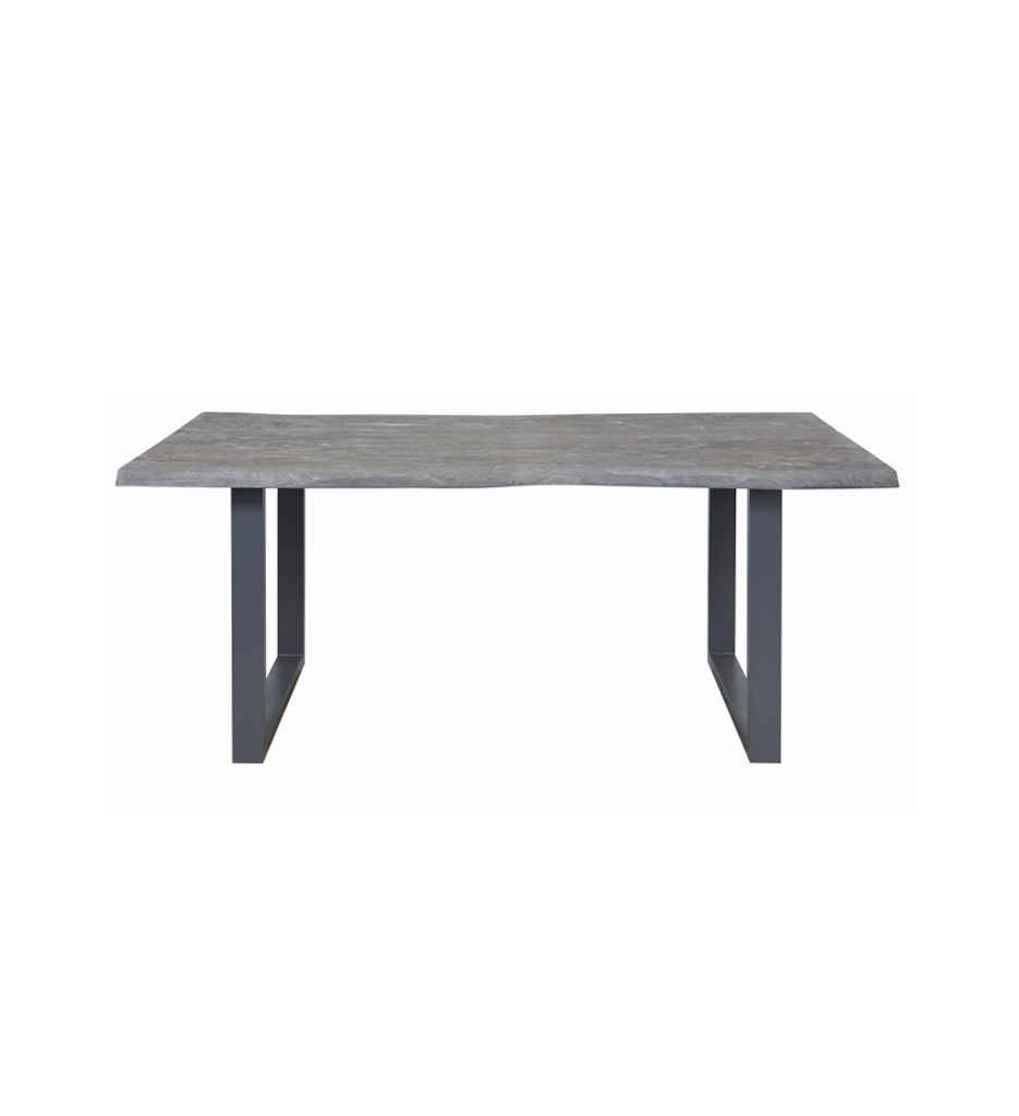 #TABLE  200*100 -TAJ-GRIS-29773GR