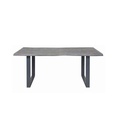 #TABLE  200*100 -TAJ-GRIS-29773GR