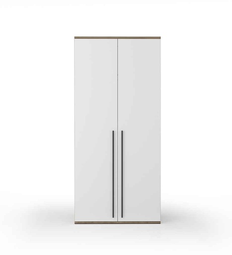 [040028] ARMOIRE 2 PORTES N°17-MODJO 0836