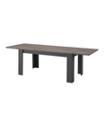 #TABLE DE REPAS + ALLONGES -DESSY-00518503