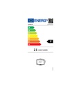 TV HD 60CM F - GRANDIN LD24CGH222