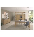 VITRINE 4PT-1J2S250-OXYDE