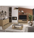 MEUBLE TV-1PT/1T-1J2S332-OXYDE
