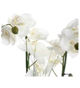 Orchidée Alini haut 53 cm avec vase céramique blanc 136510B