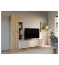 Paroi TV ARYSTARCH ACHM01L - M946