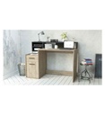 DELPHI BUR.1P/1T/1SU - DELPHI 299142 BUR.1P