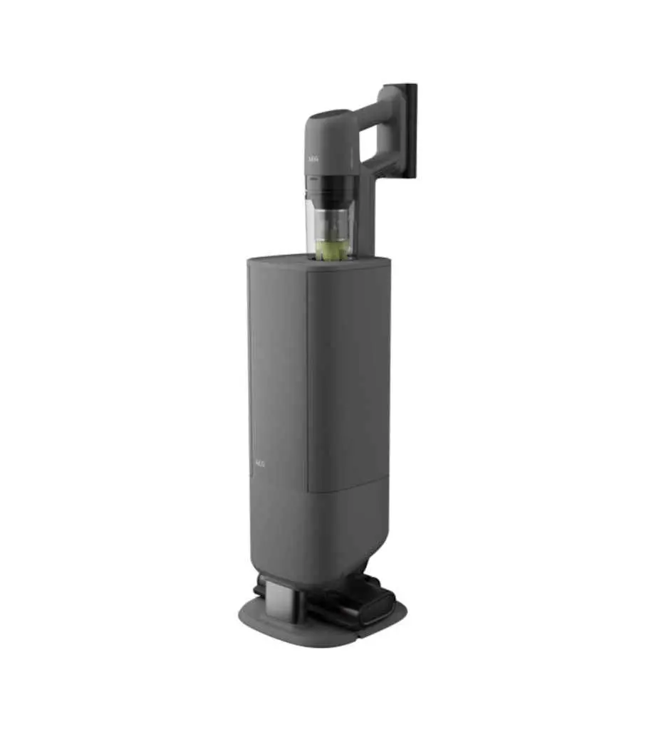 aeg2.webp