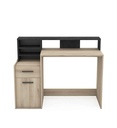 DELPHI BUR.1P/1T/1SU - DELPHI 299142 BUR.1P
