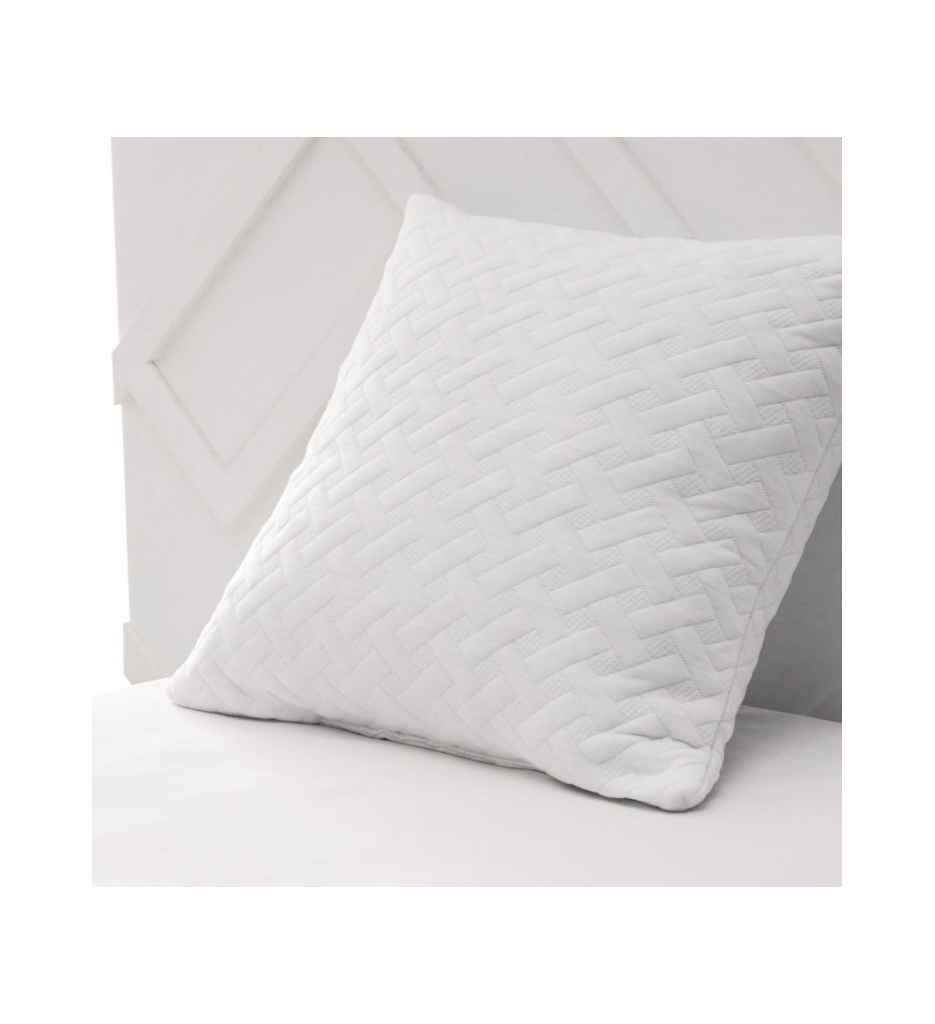 OREILLER MEM FORME 60X60 LEF 355044