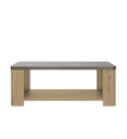 #TABLE BASSE-1J2S087-OXYDE