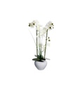 Orchidée Alini haut 53 cm avec vase céramique blanc 136510B