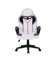 Fauteuil gaming bicolore Blanc/Rose DUMB