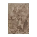 Tapis New rabbit Beige120X160