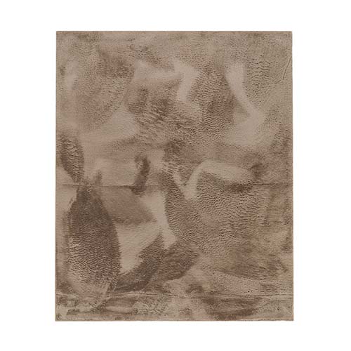 Tapis New rabbit Beige 160X230