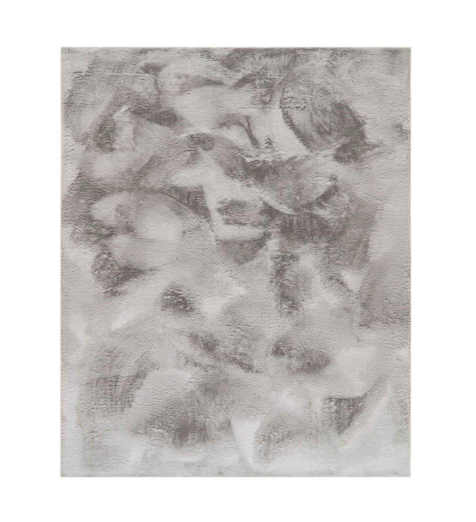 Tapis New rabbit Gris 160X230