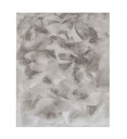 Tapis New rabbit Gris 160X230