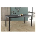 #TABLE189 CM-STEEL-NOIR STRUCTURE-PIEDS METAL